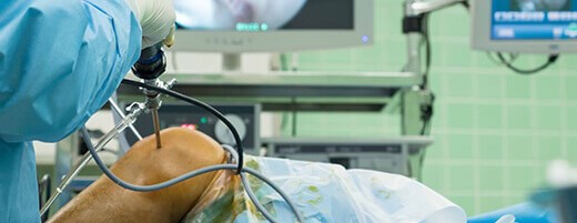 Uszkodzenie więzadła krzyżowego przedniego ACL