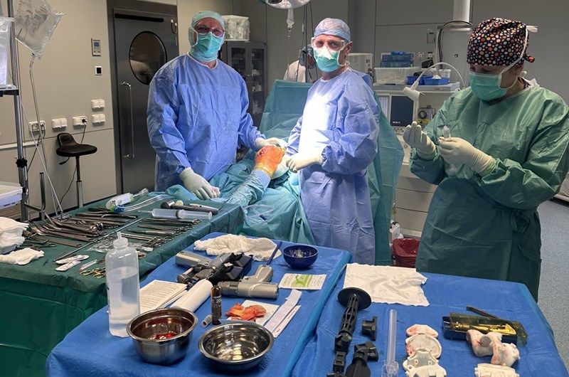 Implanty spersonalizowane w&nbsp;endoprotezie stawu kolanowego – nowość w&nbsp;Rehasport!